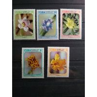 Куба 1974 г. Цветы.