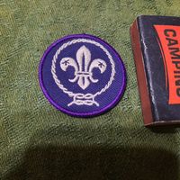 Официальная нашивка Всемирной организации скаутского движения (WOSM). + нашивка с лилеями в подарок.