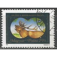 Венгрия. 100 лет Венгерской охотничьей ассоциации. 1981г. Mi#3492.