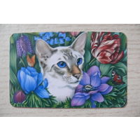 Календарик, 2017, Кот в цветах (художник - Гармашова Ирина - не указан).