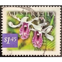 Австралия 2003. Флора. Голубая орхидея