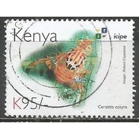 Кения. Муха пестрокрылка. 2011г. St#935.