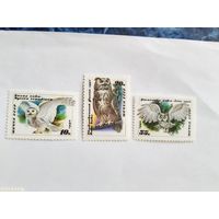 СССР  1990 3 м  совы