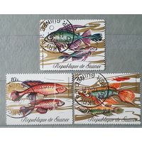 Гвинея рыбы 3шт.