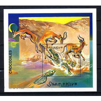 2000 Сомали. Крокодилы