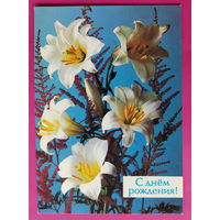 С Днём Рождения! Чистая.1988 года. Костенко. 2308.