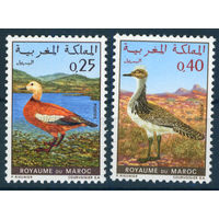 Марокко 1970 Птицы фауна серия 2м MNH