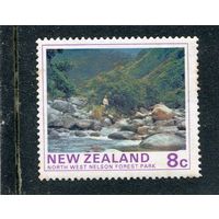 Новая Зеландия. Ландшафты. Лесные парки