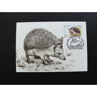 Продажа коллекции с 1 рубля! КПД Беларуси.