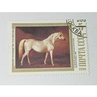Почтовая марка  ,  Светло серый Арабский жеребец 1860 года  . С рубля .