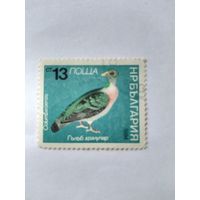 Болгария 1984 утки