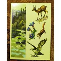 Открытка "Байкальский заповедник"