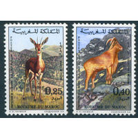 Марокко 1972 Животные фауна Газель Муфлон серия 2м MNH