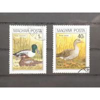 Венгрия. 1980 год. Фауна. Птицы (2 марки из серии)