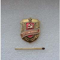 Дружинник.