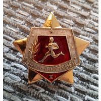 Знак воин спортсмен. 1.