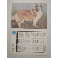 Карманный календарик. Собака.1993 год