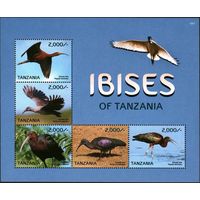 2015 Танзания 5191-5195KL Птицы - Ибисы 15,00 евро