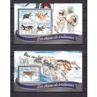 Того 2016 Фауна собаки - 1 лист + 1 блок MNH**