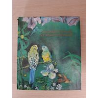 Книга. Животные и растения.