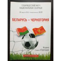 Беларусь-Черногория 2013