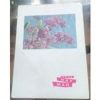 1968 год Г.Костенко Труд Мир Май