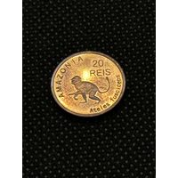 Амазония 20 Рейс 2012 г. Обезьяна