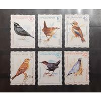 Болгария. 1987 год. Фауна. Птицы (409)