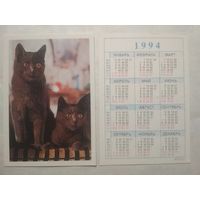 Карманный календарик. Котик.1994 год