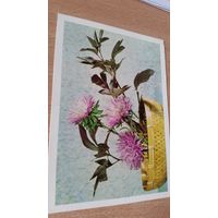 Открытка. Астры.1979 год