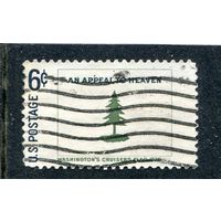 США. Флаг сосна. Обращение к небесам