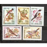 ФФ1 СССР 1981 Птицы певчие