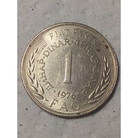 1 динар  Югославия 1976 год фао