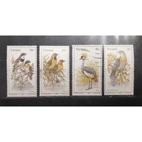 Транскей. 1980 год. Фауна. Птицы (336)