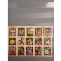 Флора куба полная