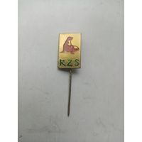 Значок RZS (латунь)