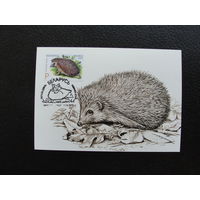 Продажа коллекции с 1 рубля! КПД Беларуси.