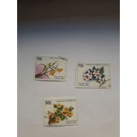 Китай Флора