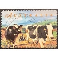 Австралия 1998. Домашний скот. Породы коров