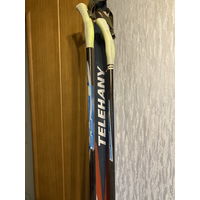 Лыжи Телеханы 205 см, палки и ботинки 42 р-р