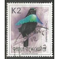 Папуа Новая-Гвинея. Чудная райская птица. 1992г. Mi#667.