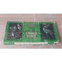 В мире птиц.