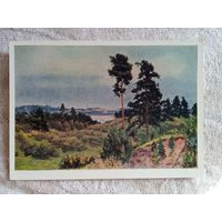 1955. Шибнев. Перед дождём