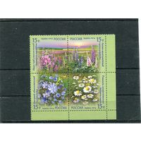 Россия 2014. Полевые цветы. Квартблок