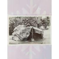 Открытка г. Пушкин 1955 г. Фонтан