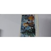 С новым годом! 1979г подписана