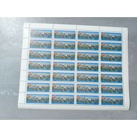 1987 СССР. Международные альпинистские лагеря СССР. 	Гора Казбек, Кавказ. Лист