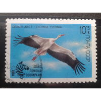 1991. Белый аист