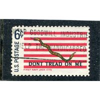 США. Первый военно-морской флаг