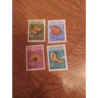 Вьетнам серия марок 1969 г. Бананы.